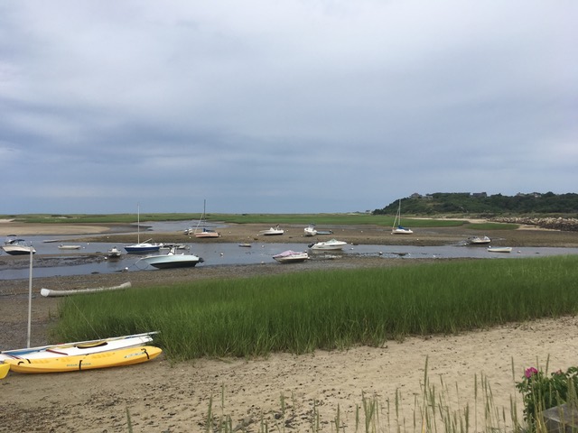 Low tide at Pamet Harbor