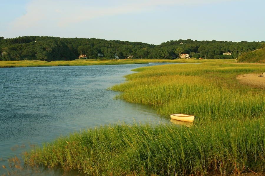 Pamet River marsh at golden hour, Truro Cape Cod