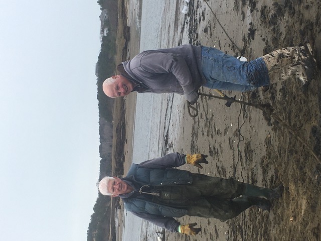 Two shellfishermen clamming on a Truro tidal flat
