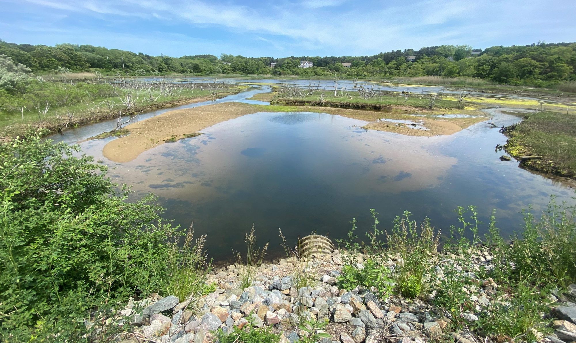 Mill Pond in Truro at low water, ringed by salt marsh, seen from the stone-armored embankment of Mill Pond Road