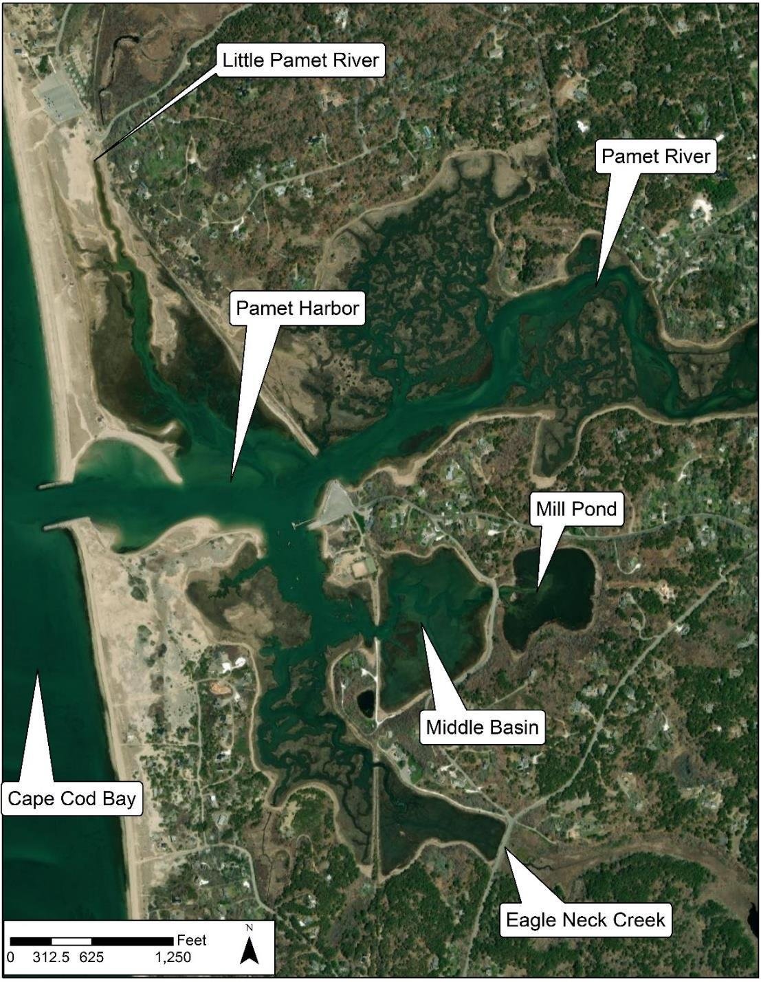 Aerial map of the lower Pamet estuary labelling Cape Cod Bay, Pamet Harbor, the Pamet River, the Little Pamet River to the north, and Mill Pond, the Middle Basin and Eagle Neck Creek to the south