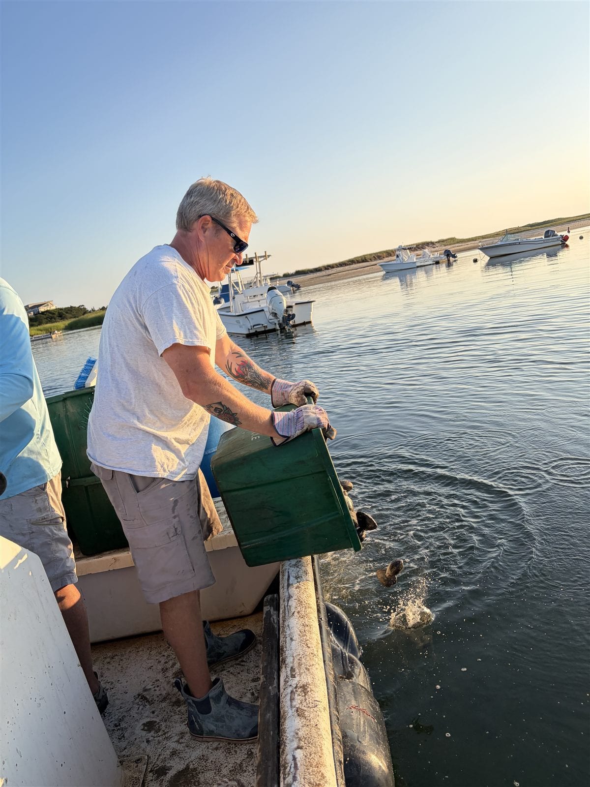 A volunteer tipping a tote of shellfish seed over the side of the boat into Pamet Harbor